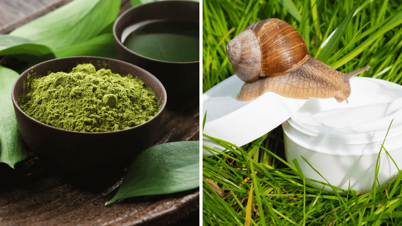 natural ingredients-green tea-snail mucin